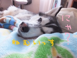 眠いっす