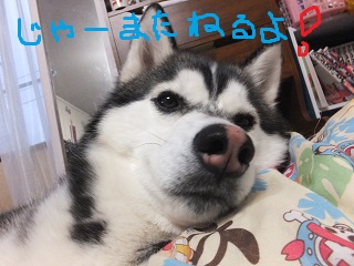 また寝るよ