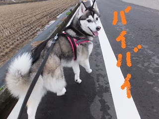 バイバイ!!