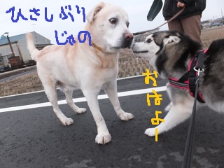 久しぶりじゃの