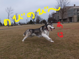 のびのび~