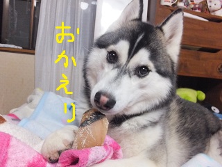 お帰りなさい!
