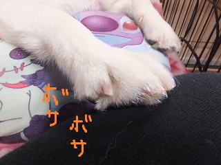 手がボサボサ