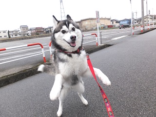 2足歩行