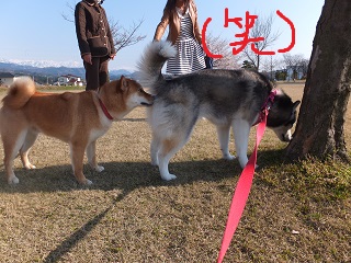 においチェック!!