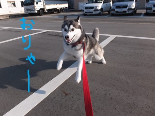 おりゃーーー