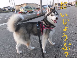 大丈夫?