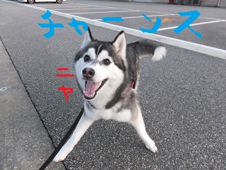 チャーンス