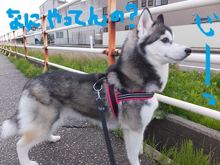 何やってんの?