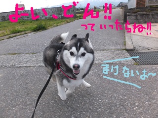 負けないよ!!
