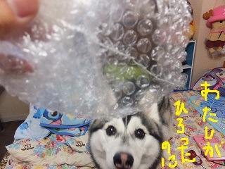 あたしが拾ったのに・・・