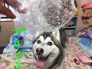 プチプチ♪