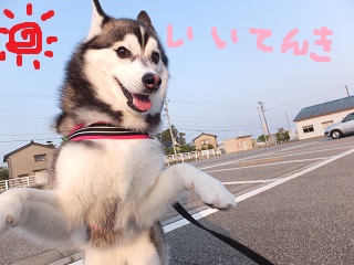 イイ天気