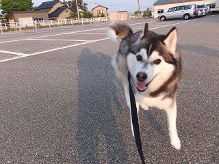 ホントに真っ白なるの?