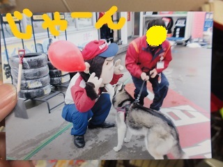 じゃーん