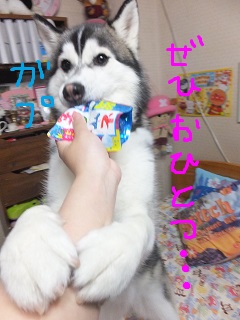 おひとつ下さい・・・