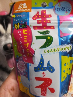 生ラムネ