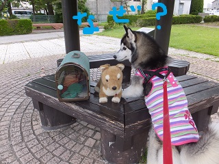 なぜこんなところに?