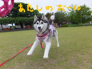 あたしのボール