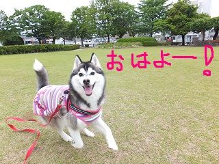 おはよー!!