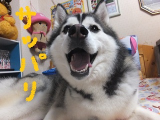耳さっぱり