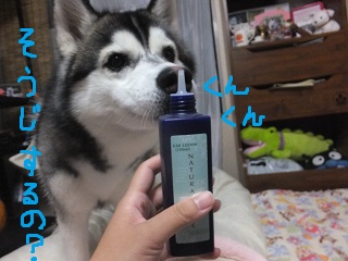 掃除するの?