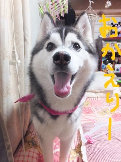 お帰りーー
