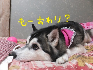 もー終わり?