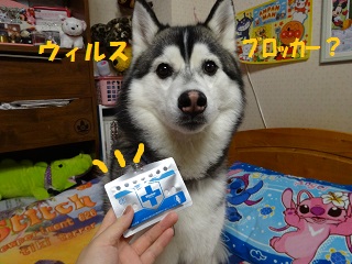 ウィルスブロッカー?