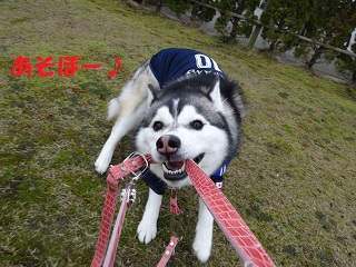 一緒にあそぼー