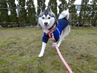 ミーちゃんに会いに来ました