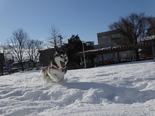 朝から爆走!