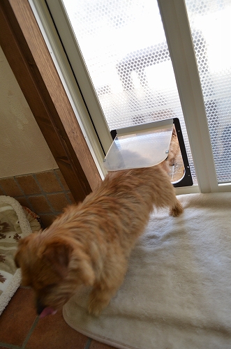 DSC_2411.jpg