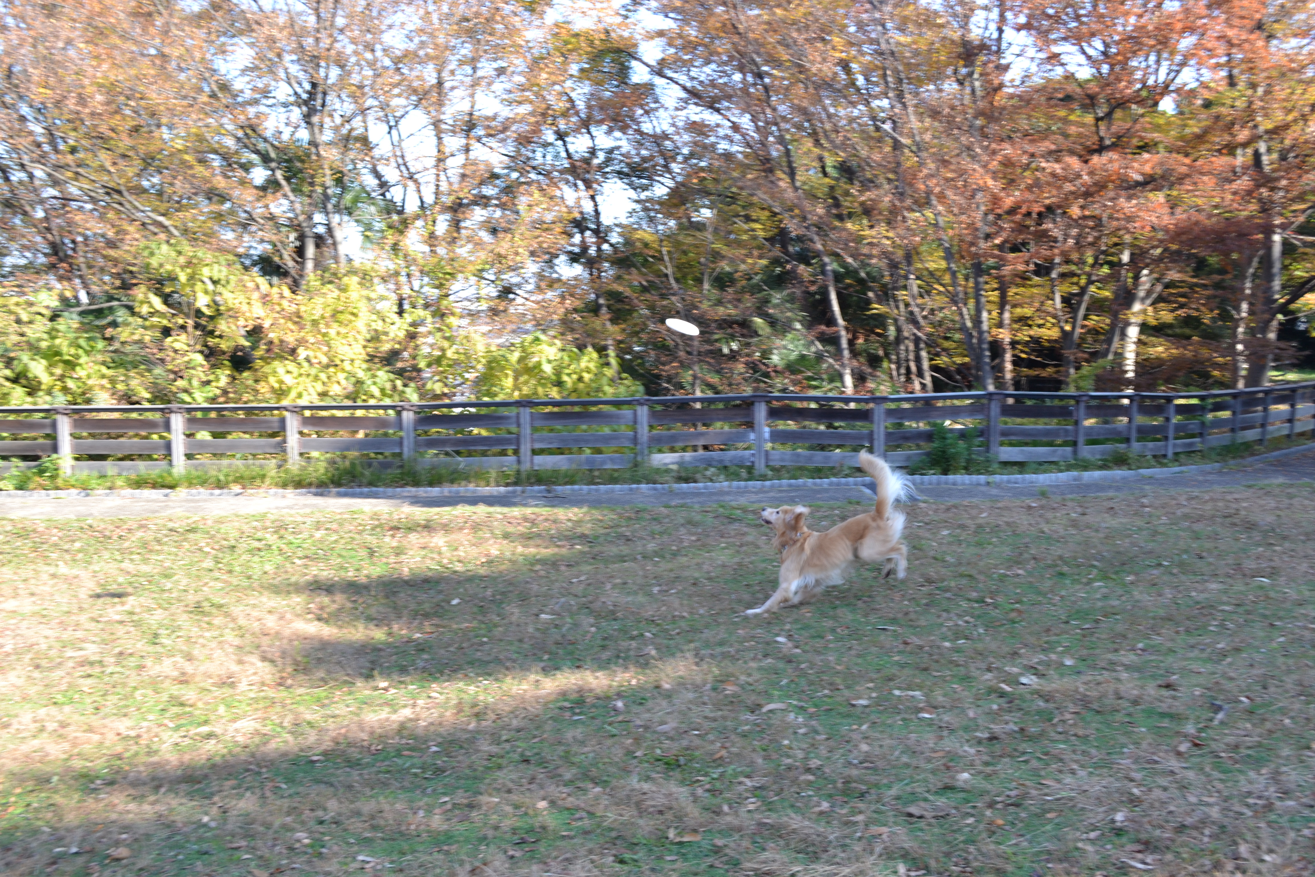 DSC_0154.jpg