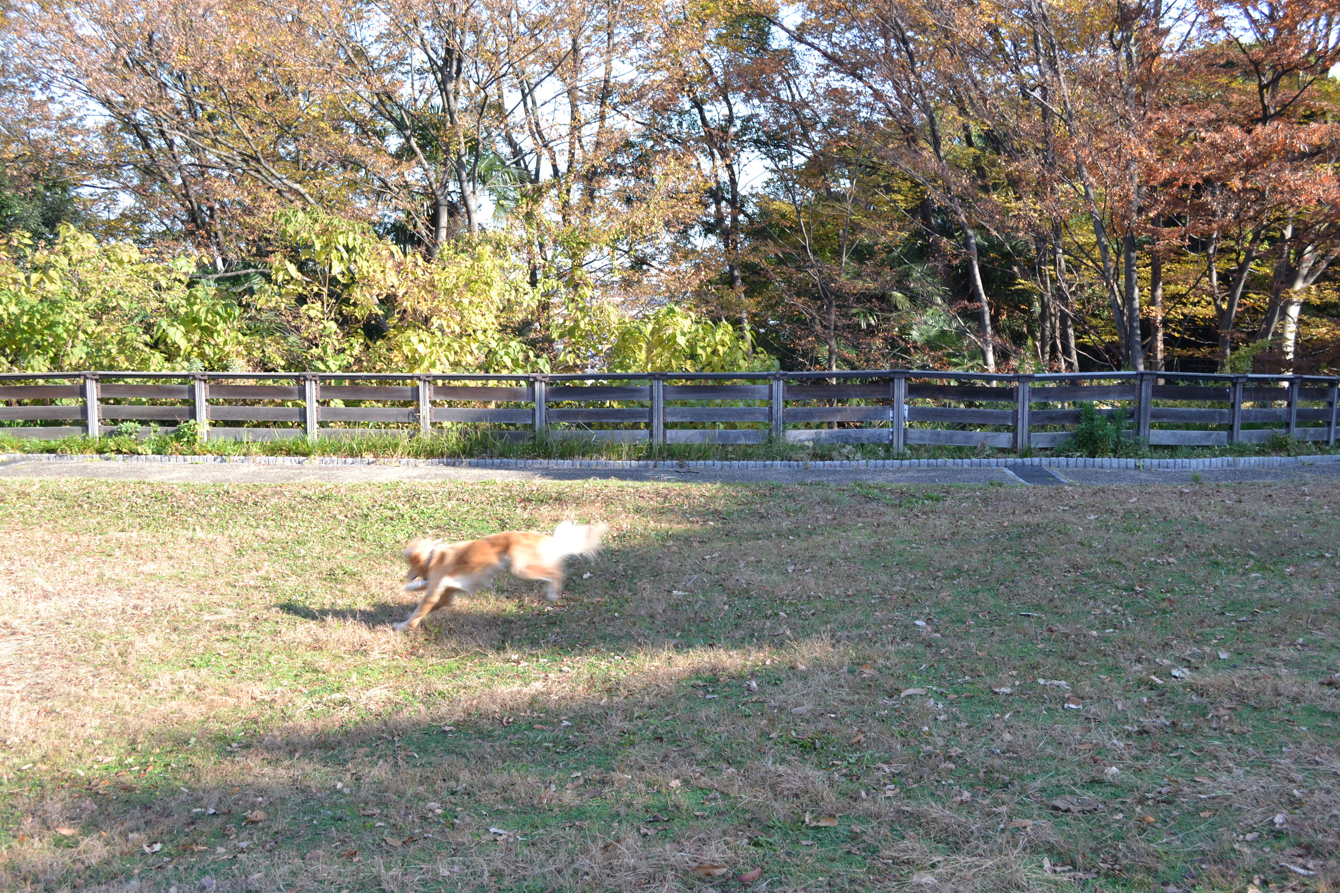 DSC_0156.jpg