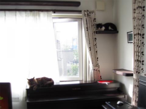 hccw06.jpg