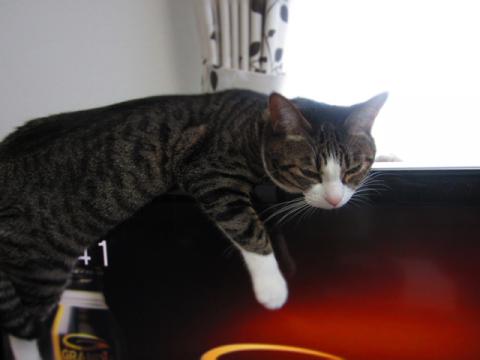 krsen03.jpg