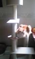 23_20121109111013.jpg