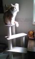 26_20121109111248.jpg