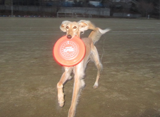 102_20130417210909.jpg