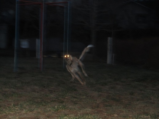 104_20130417210927.jpg