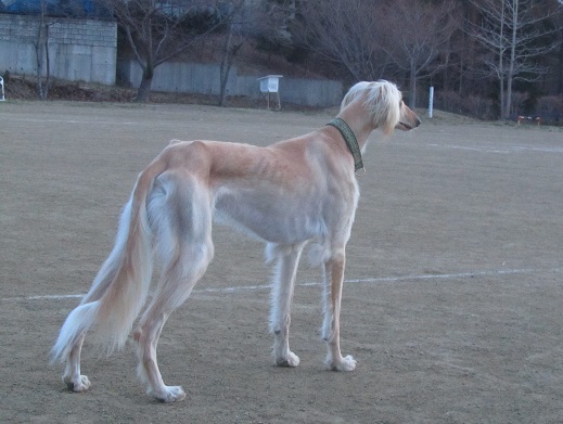 107_20130417211153.jpg