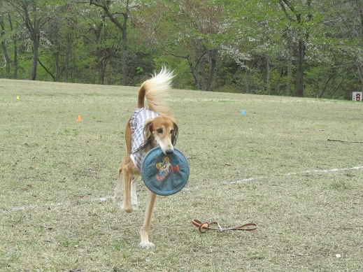 109_20130519234231.jpg