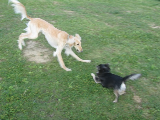 10_20130601213553.jpg
