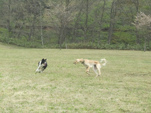 110_20130519234236.jpg