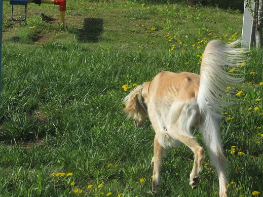 118_20130521211728.jpg
