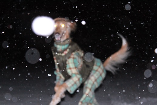 11_201402032108365e3.jpg