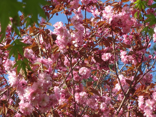 120_20130521211737.jpg