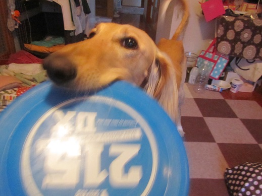 121_20130521211806.jpg