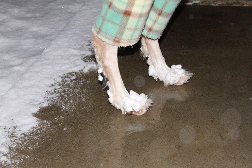 12_2014020321094675f.jpg